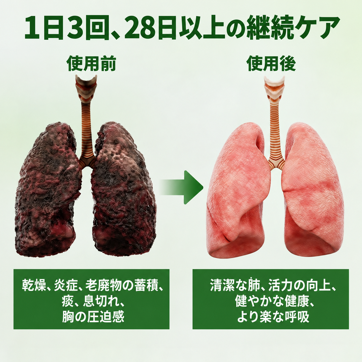 2️⃣GarageLine® ボタニカル マレイン 呼吸ケアディフューザー
